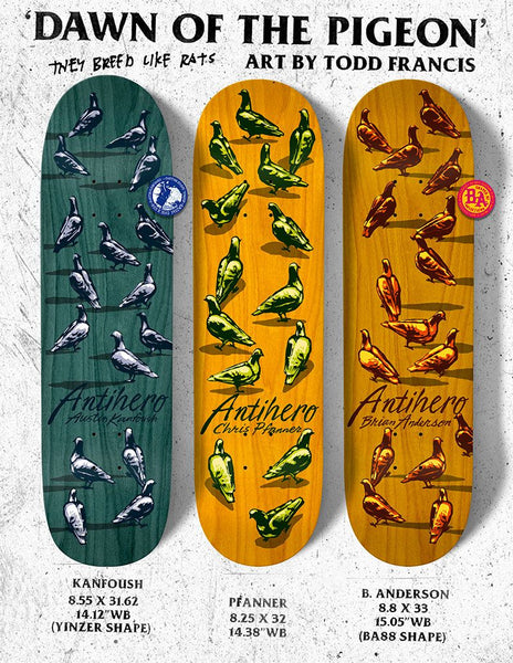 ANTIHERO - DAWN OF THE PIGEON KANFOUSH 8.55"