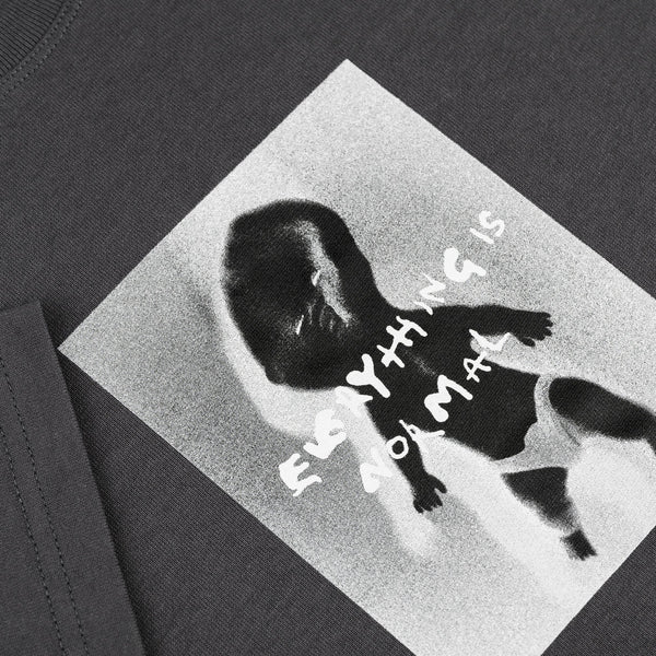 POLAR SKATE CO. - TEE | EVERYTHING IS NORMAL - GRAPHITE